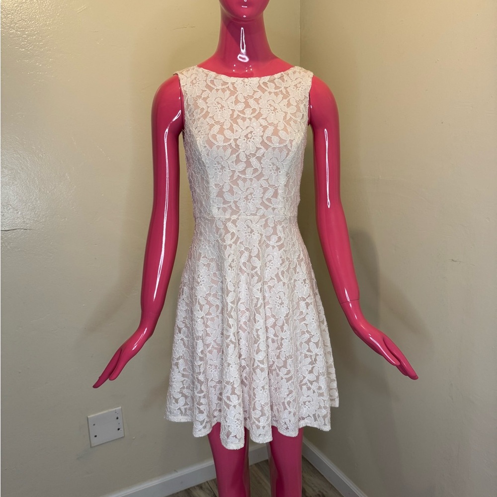 Speechless Blush Lace Fit & Flare Dress